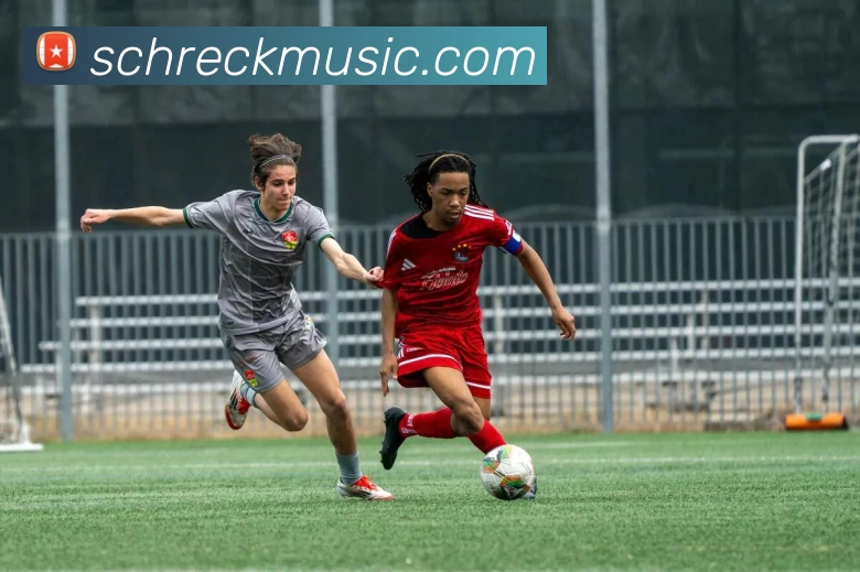 互动解说服务